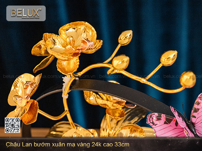 Chậu Lan Bướm Mạ Vàng